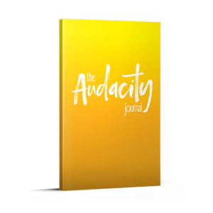 The Audacity Journal